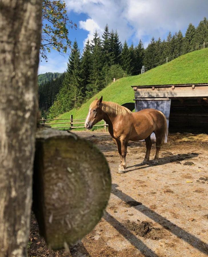 Willa Baita Alpenrose Ugovizza Zewnętrze zdjęcie