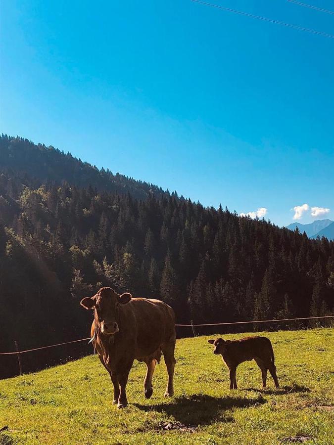 Willa Baita Alpenrose Ugovizza Zewnętrze zdjęcie